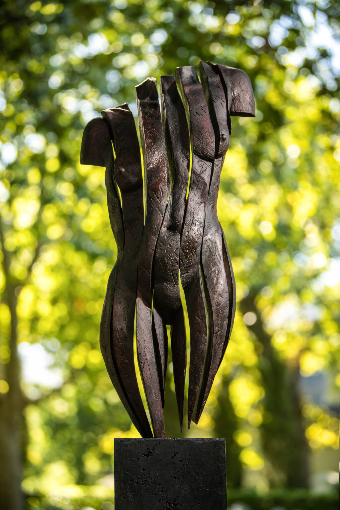 Anton Smit Fracture 01
