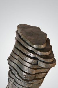 CUT TORSO 1