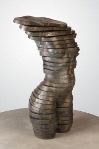 CUT TORSO 5