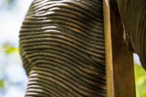FACETS II ROPE 2