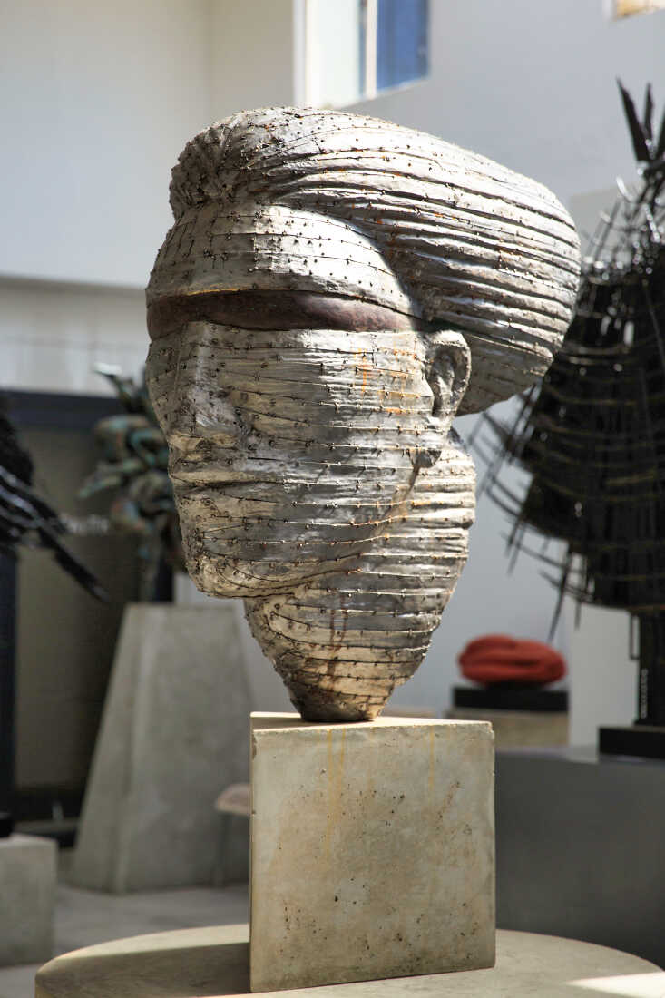 speed head metal plated AntonSmit (2)