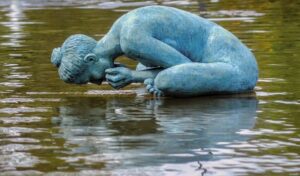 Submerge Lourensford 1
