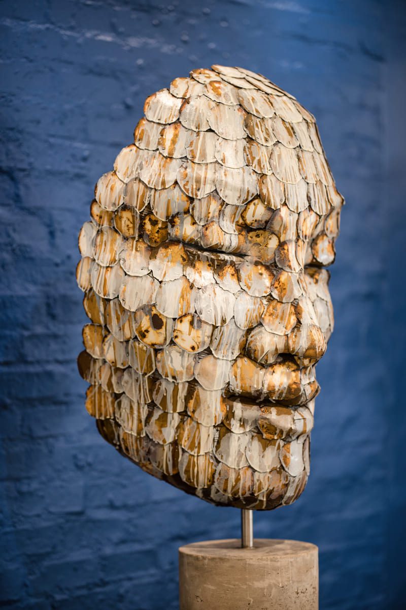 SHATTERED REMAINS Series AntonSmit (2)