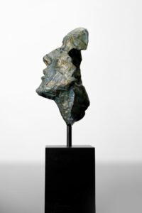 OBLIQUE AntonSmit (4)