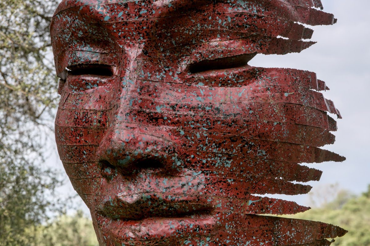 Art Meets Nature